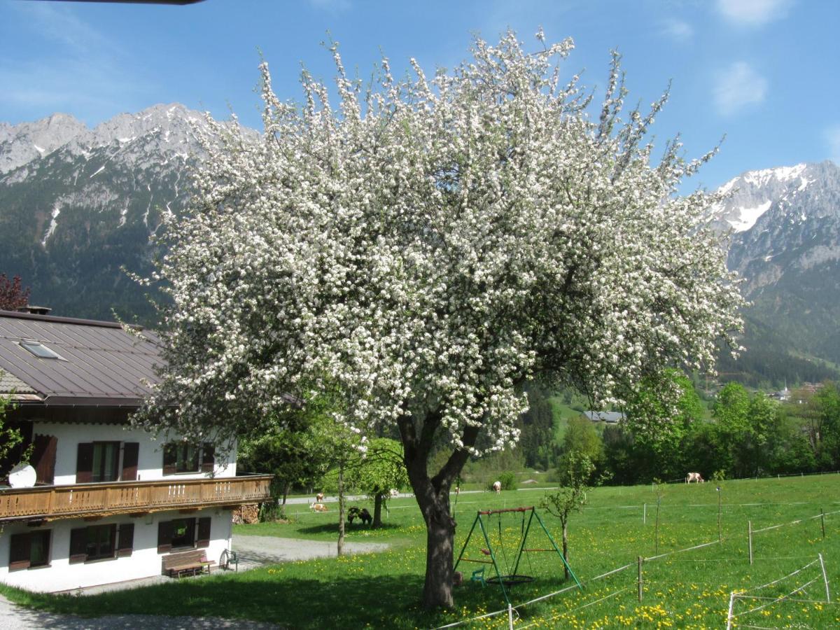 Bauernhof Neu-Endfelden, Guenter Widauer Villa Soll Luaran gambar